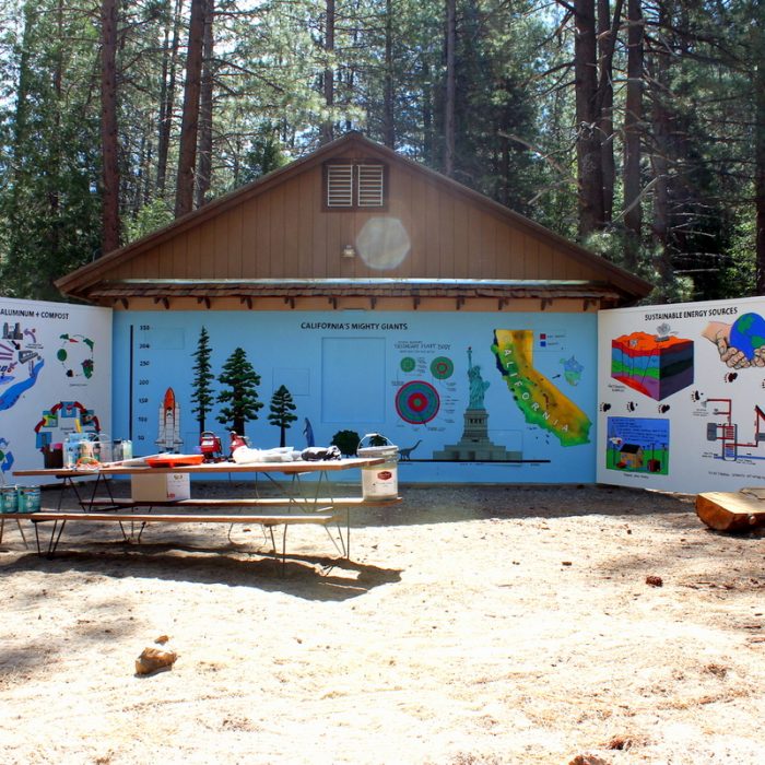 Camp Whitsett Boyscouts Mural